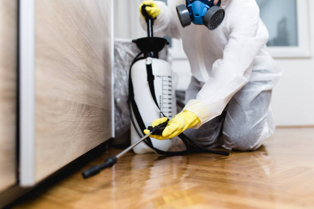 Best Wildlife Control Services  in Jones Creek, TX