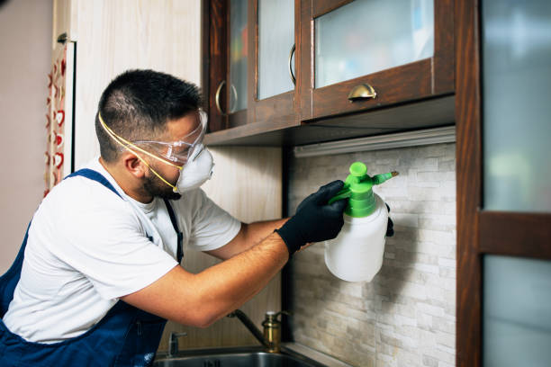 Best Residential Pest Control  in Jones Creek, TX