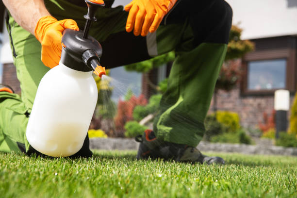 Best Commercial Pest Control Services  in Jones Creek, TX