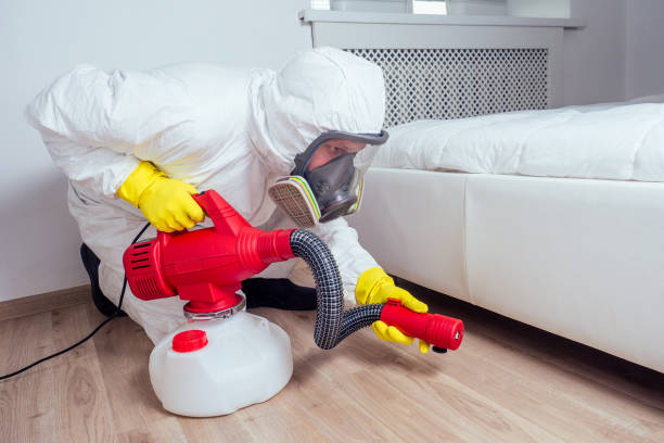 Best Pest Prevention Services  in Jones Creek, TX