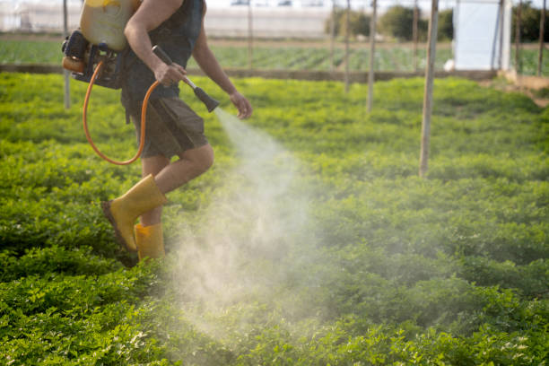 Best Best Pest Control Companies  in Jones Creek, TX
